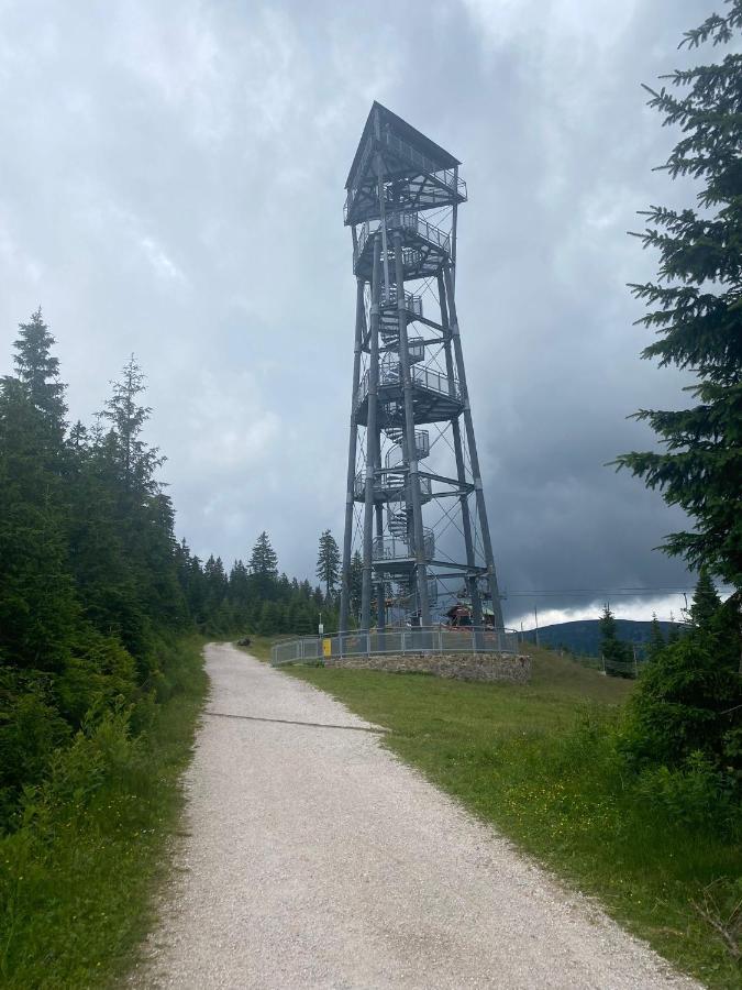 Vila 66 - Cista V Krkonosich Černý Důl Eksteriør bilde